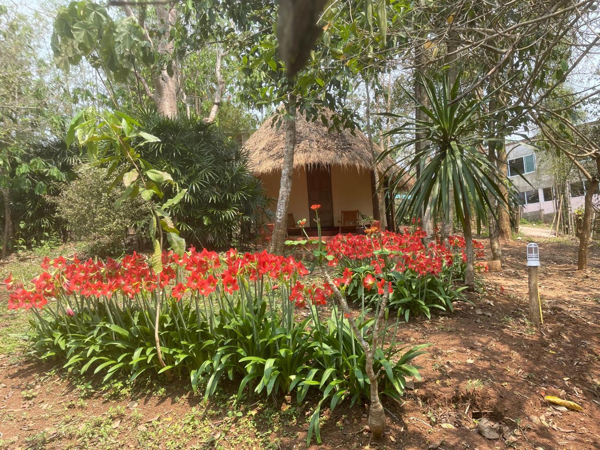 Chiang Dao Roundhouses Exterior photo